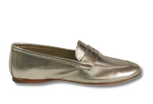 Load image into Gallery viewer, Pocket Iris Platino